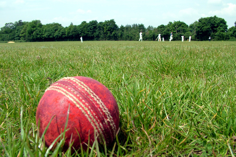 Cricket attractions in Southern Highlands