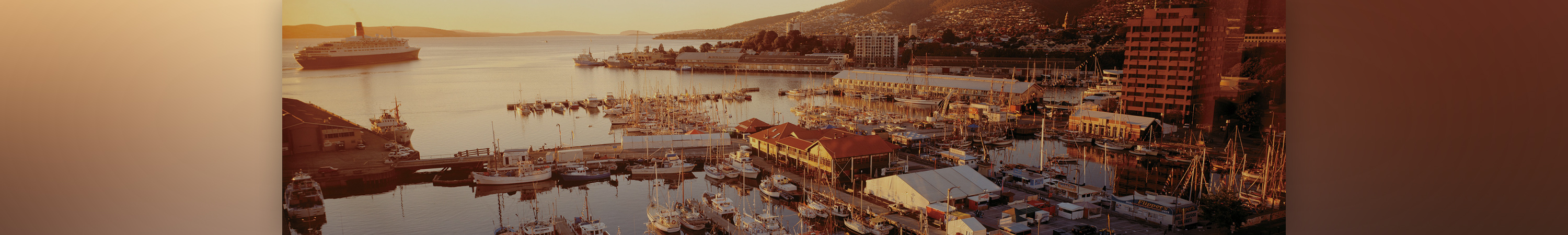 Image Alt Text