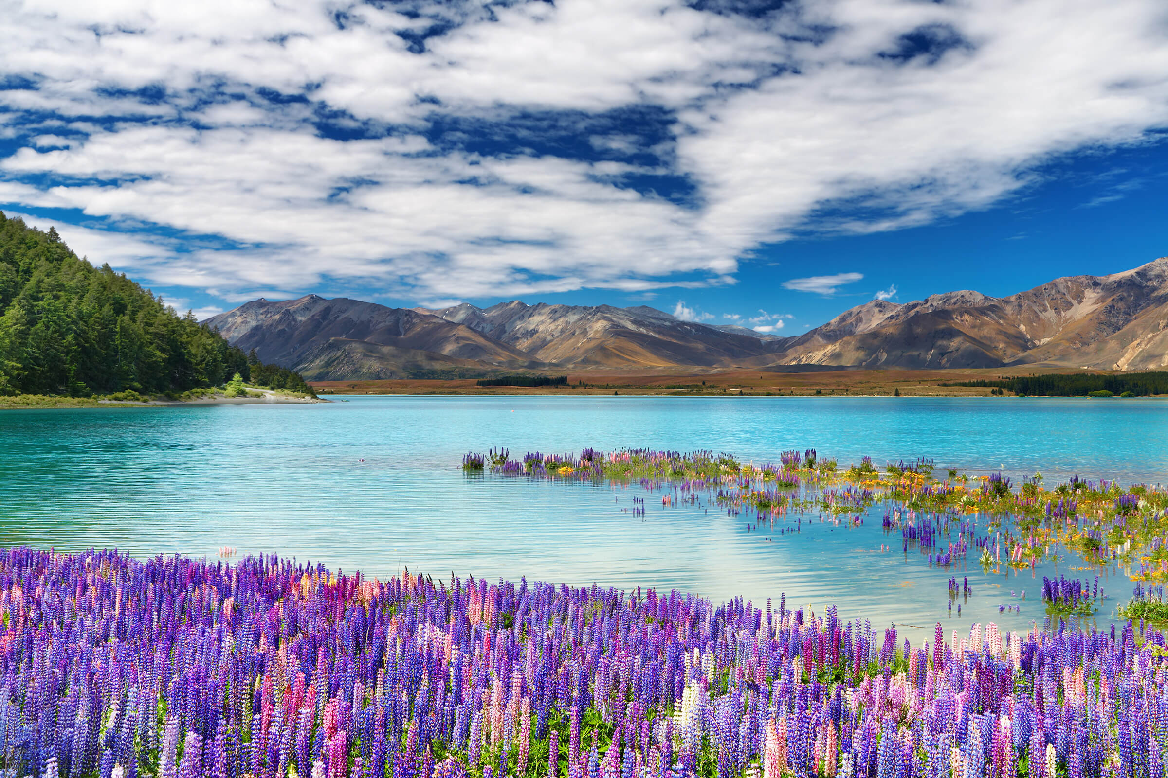 Blue waters of Lake Tekapo, New Zealand near Peppers Bluewater Resort