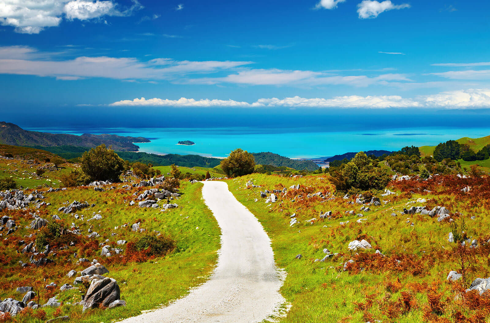 Abel Tasman  National Park