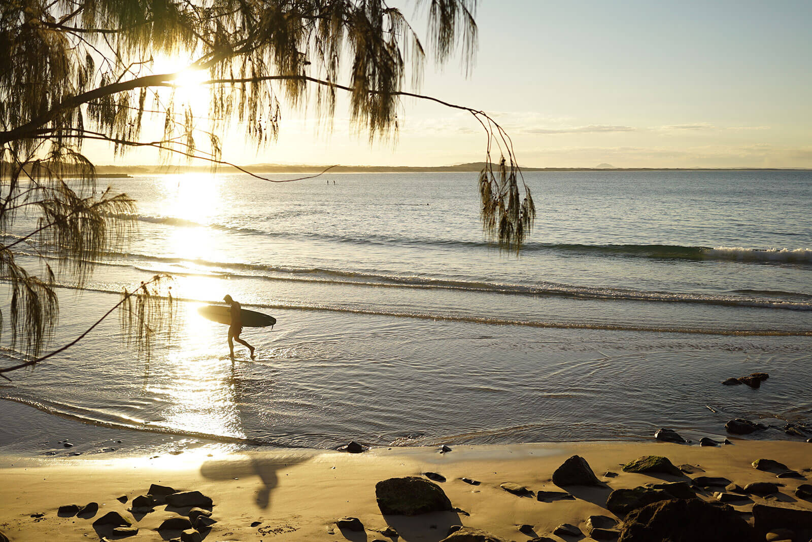 Surfing in Noosa