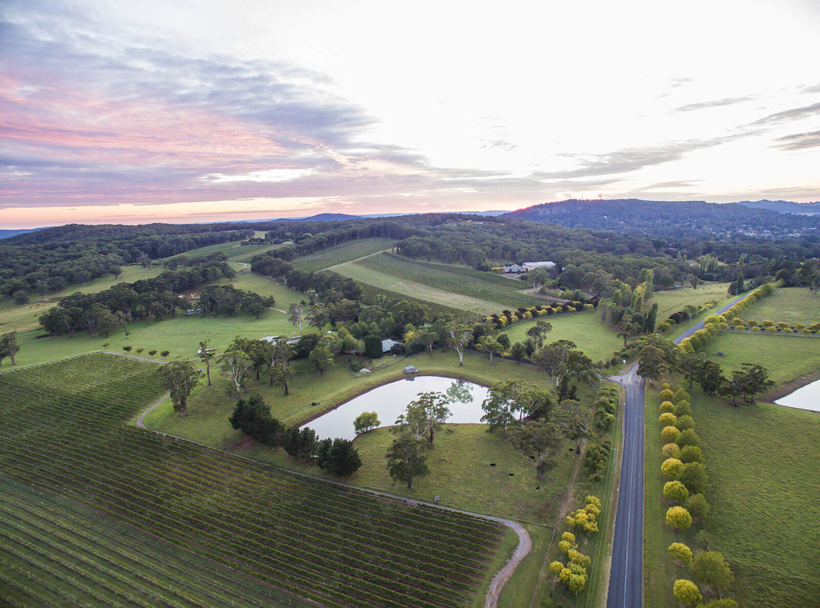 Centennial  Vineyards, Bowral