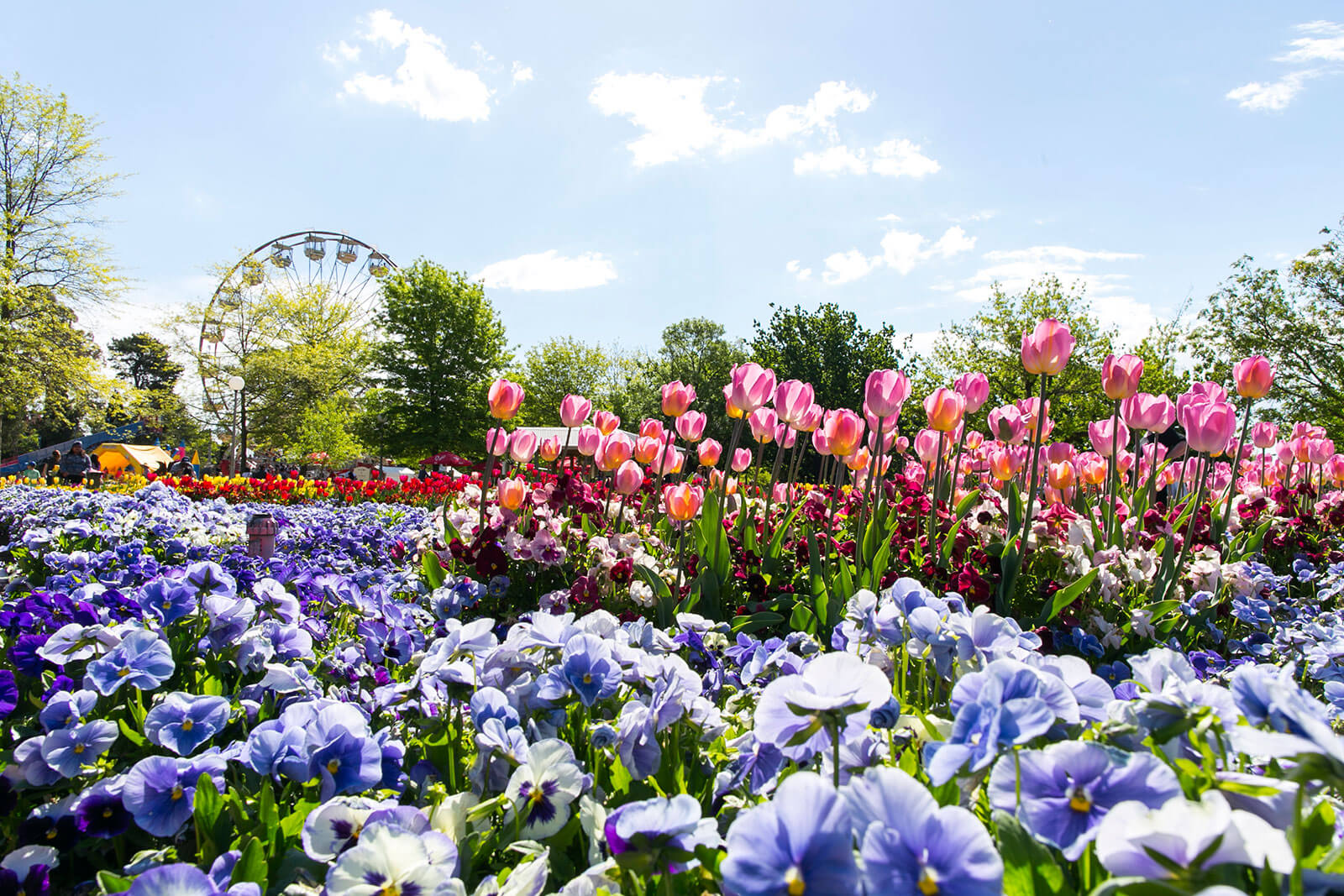 Floriade  Canberra