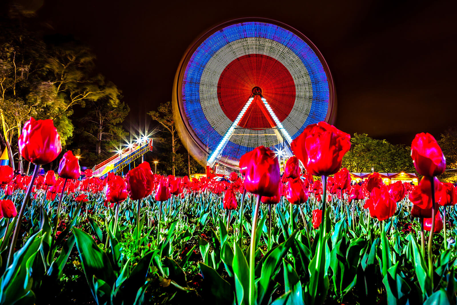 NightFest at  Floriade