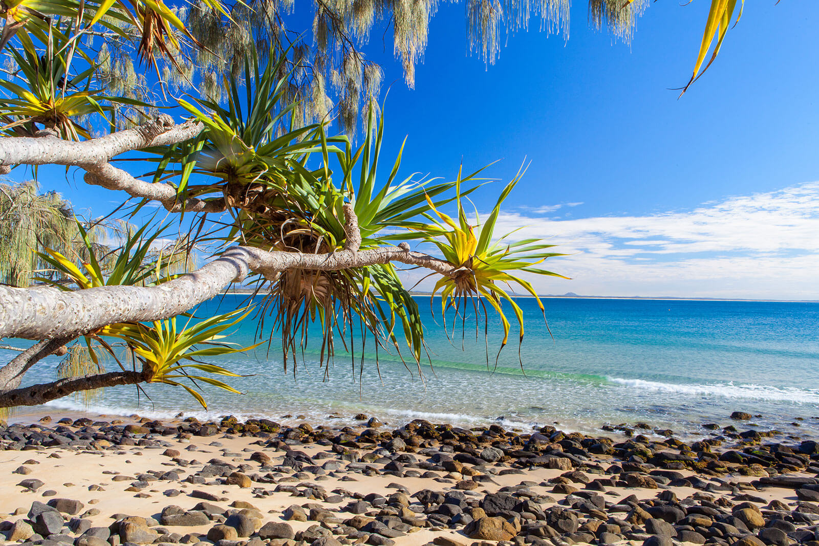 Noosa National Park beach