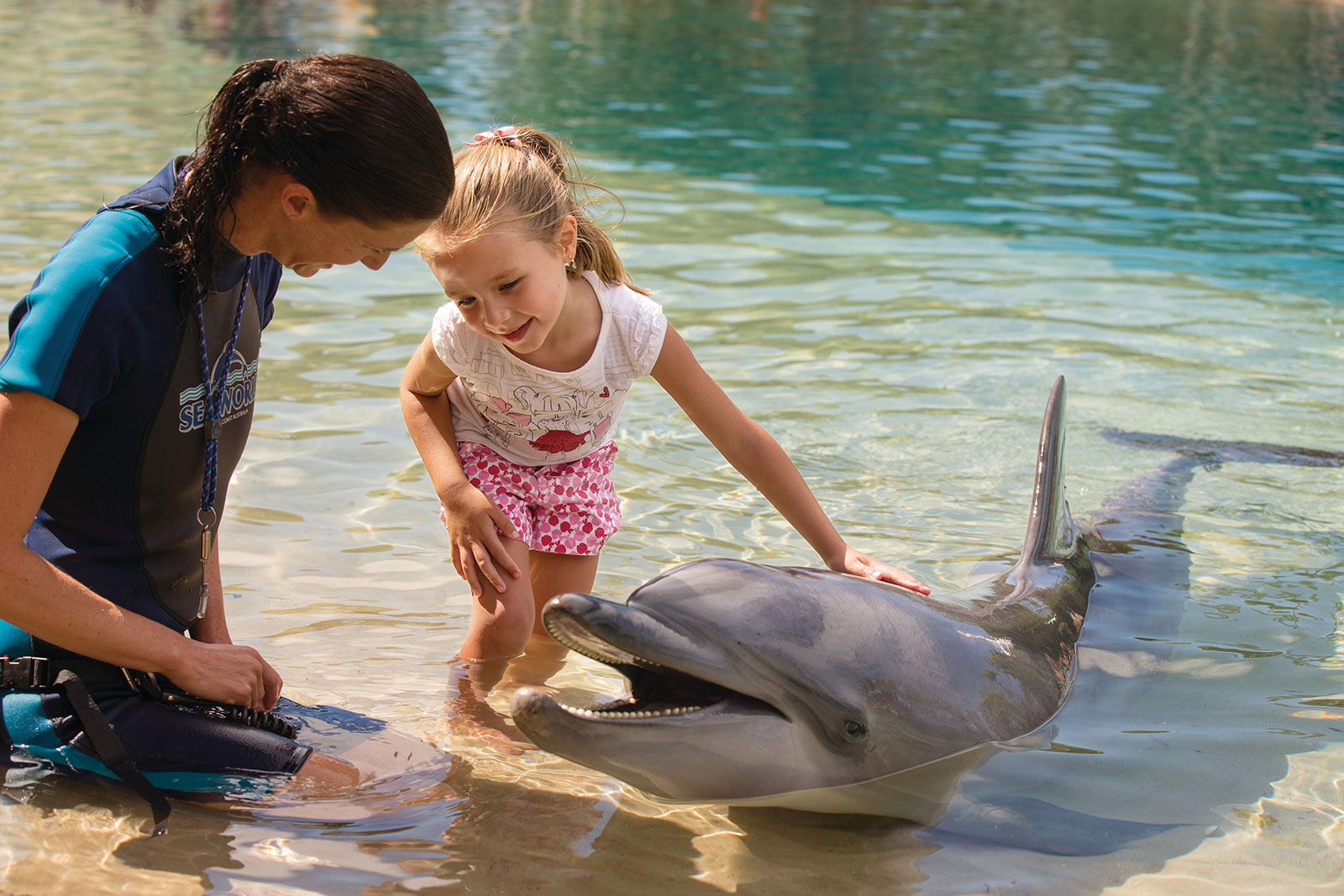 Sea World, Gold Coast