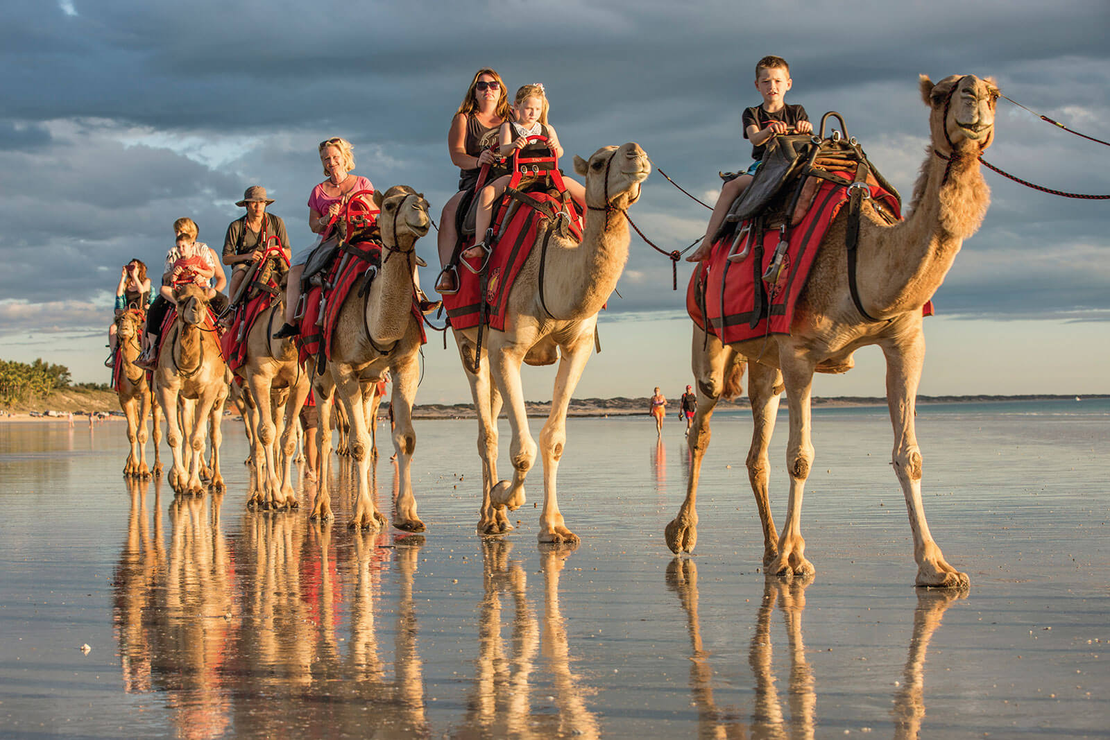 Camels on Cable  Beach, Broome