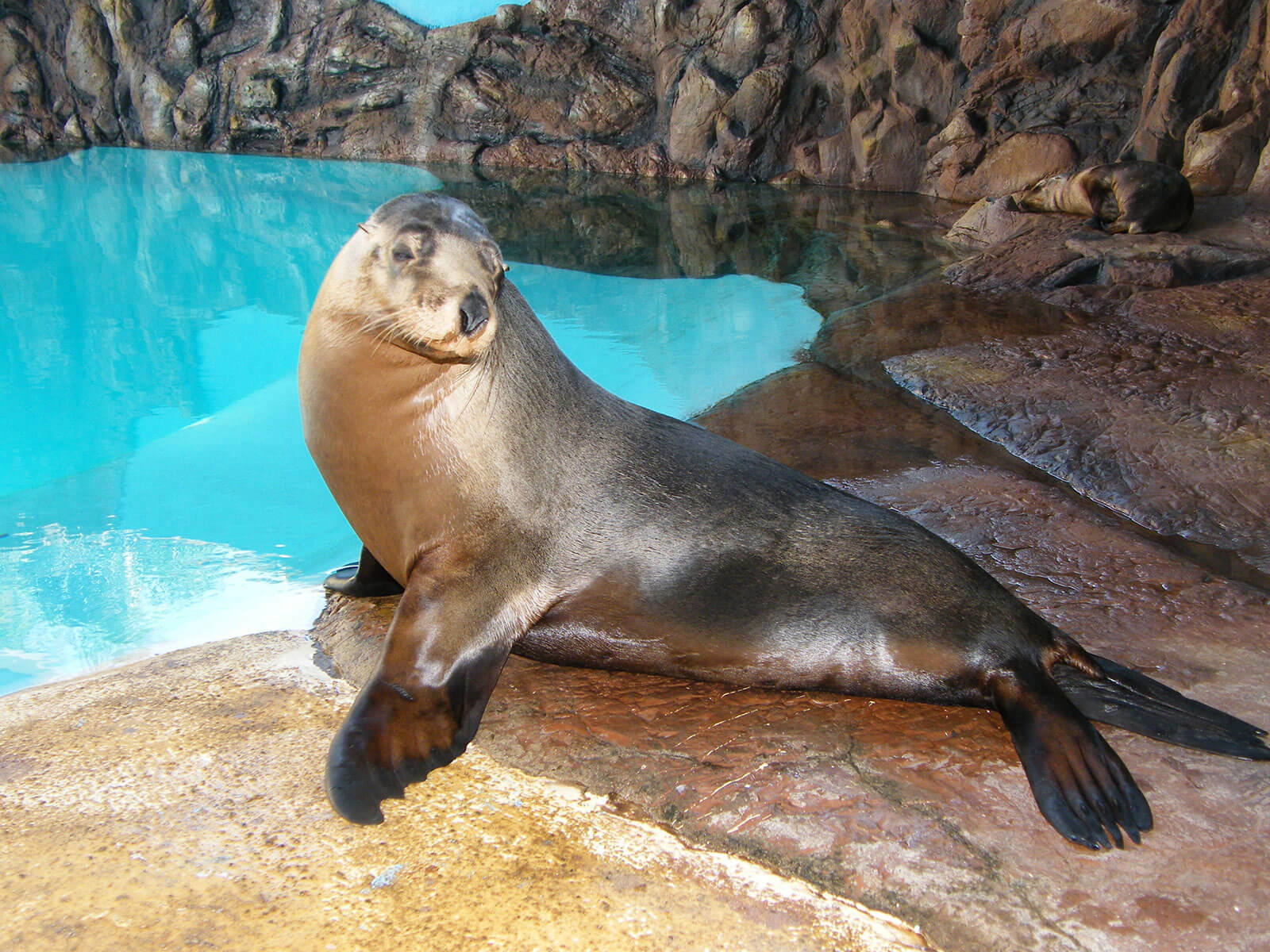 SEA LIFE Sunshine Coast