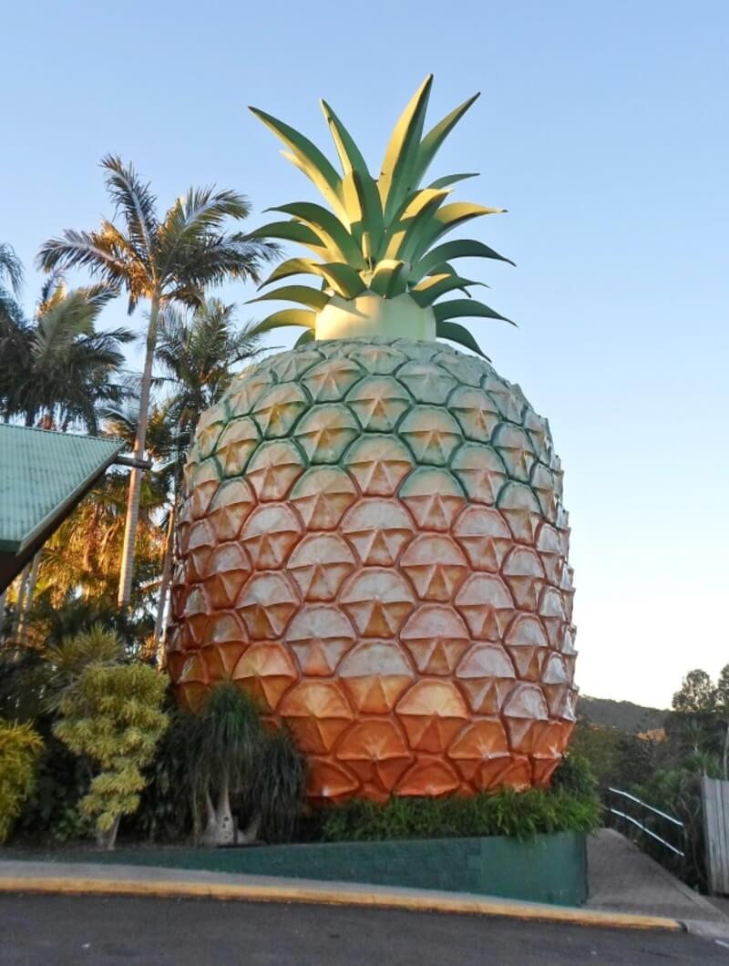 The Big  Pineapple