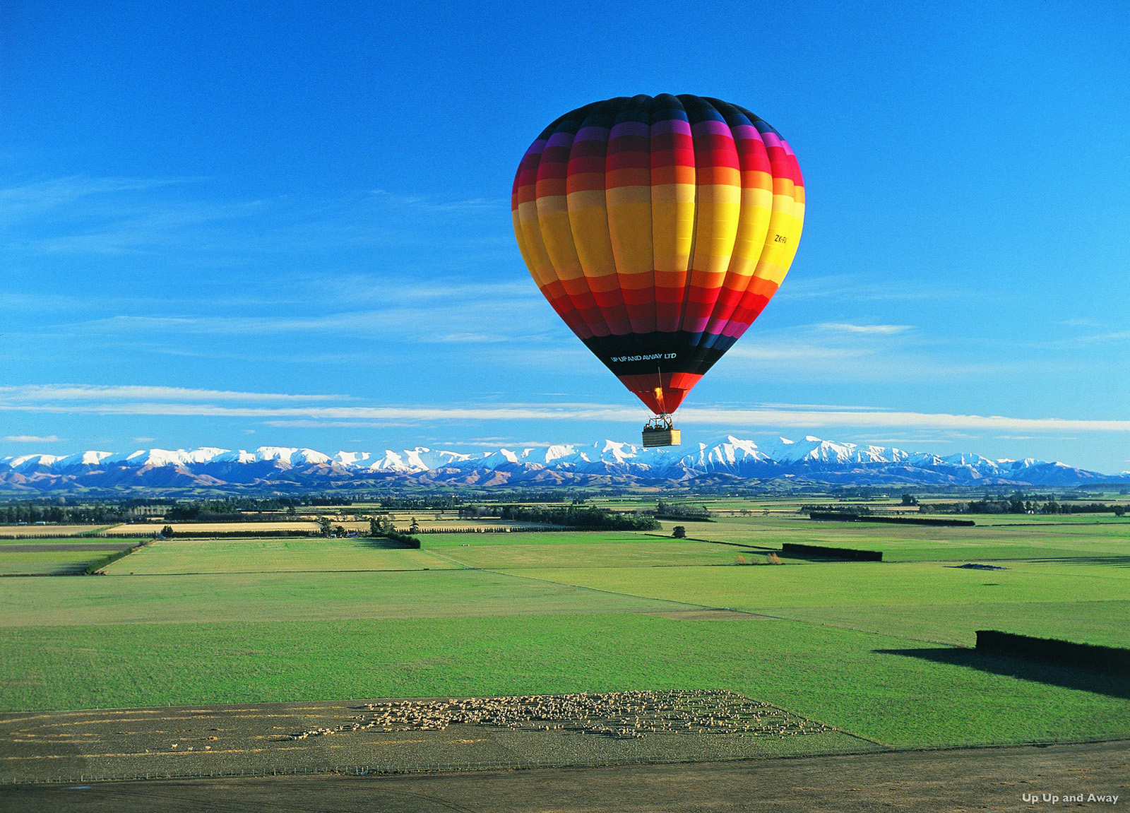 Canterbury Plains