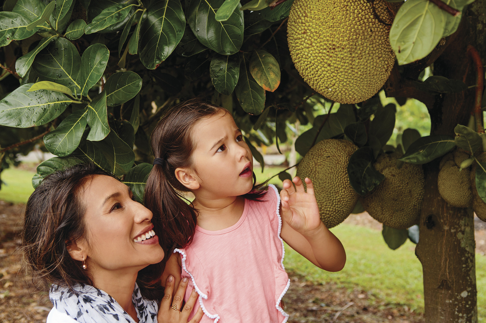 Tropical Fruit World