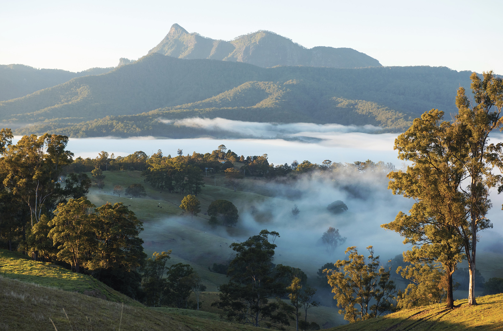 Mt Warning