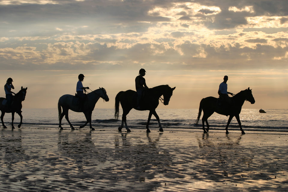 Hire Horses for treks in Port Douglas