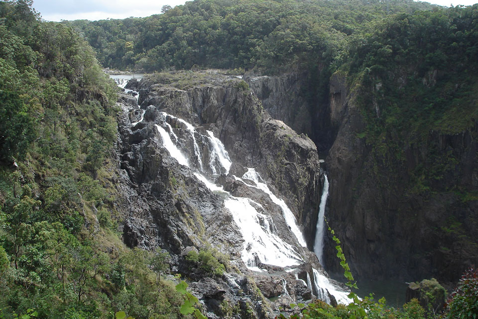 National Parks and walk in Port Douglas