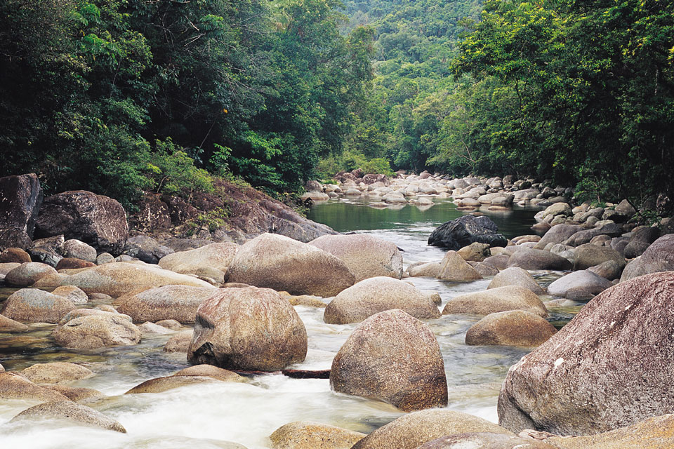 Picnic trails and walks in Daintree Rainforest Port Douglas