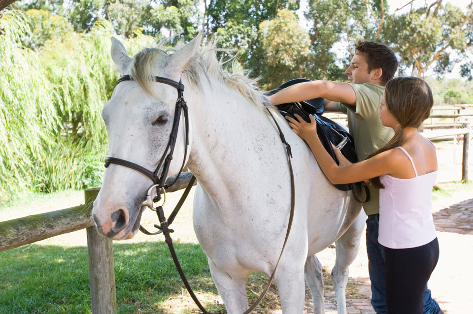 Horse hire in Christchurch