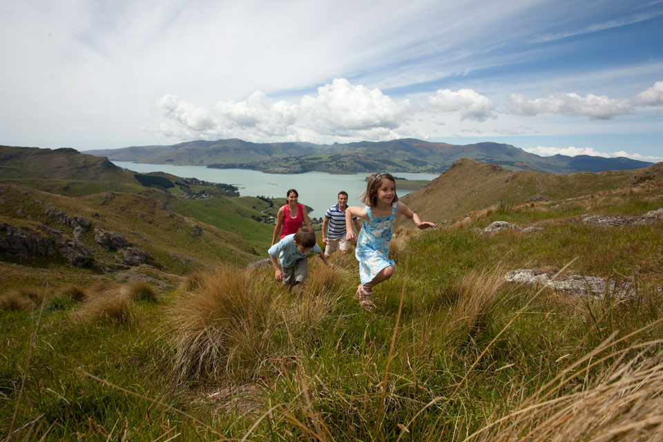 Bush walks around Christchurch