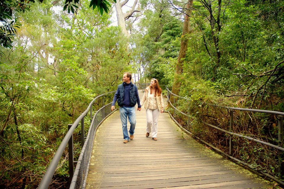 Walking tracks, hiking in National Park at Bowral, Southern Highlands