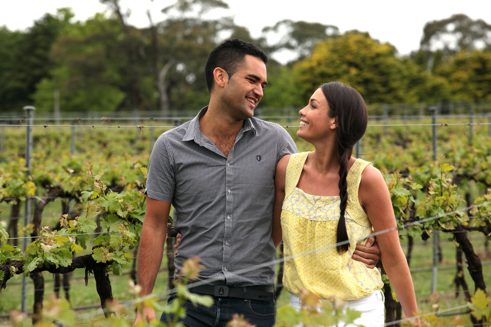 Book a vineyard tour around Southern Highlands