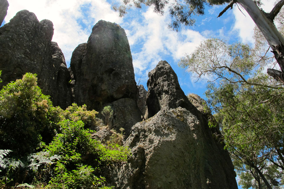 Hikes and walking tracks at the National Parks in Daylesford