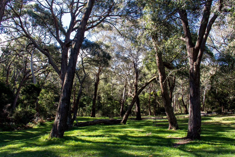 Walking tracks in Daylesford