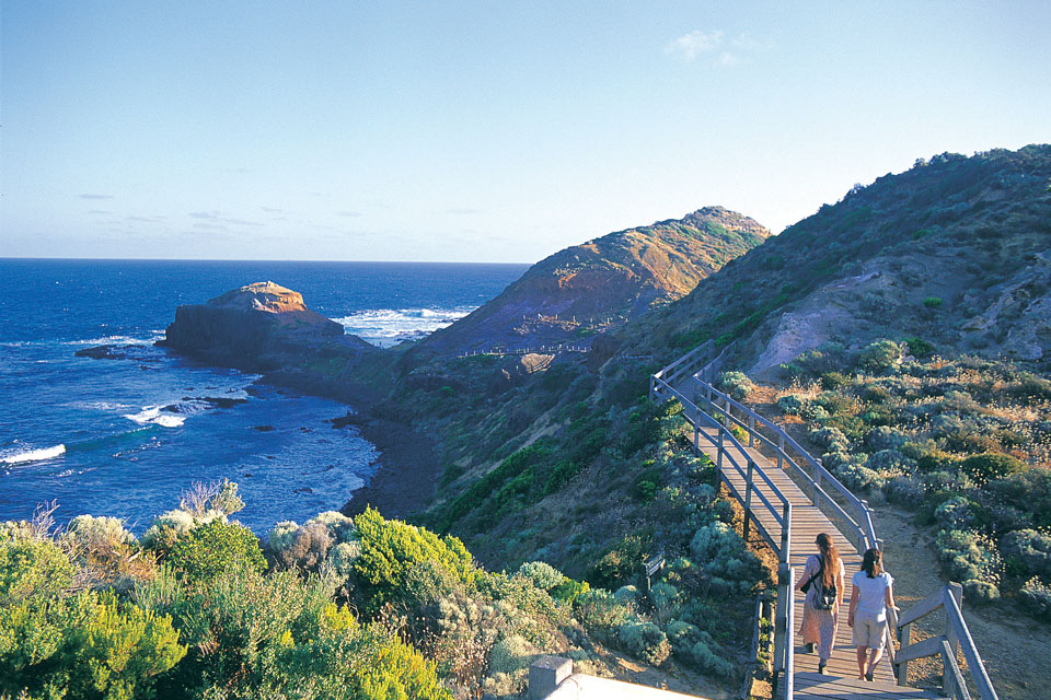 Hikes and walks on National Park in Mornington Peninsula